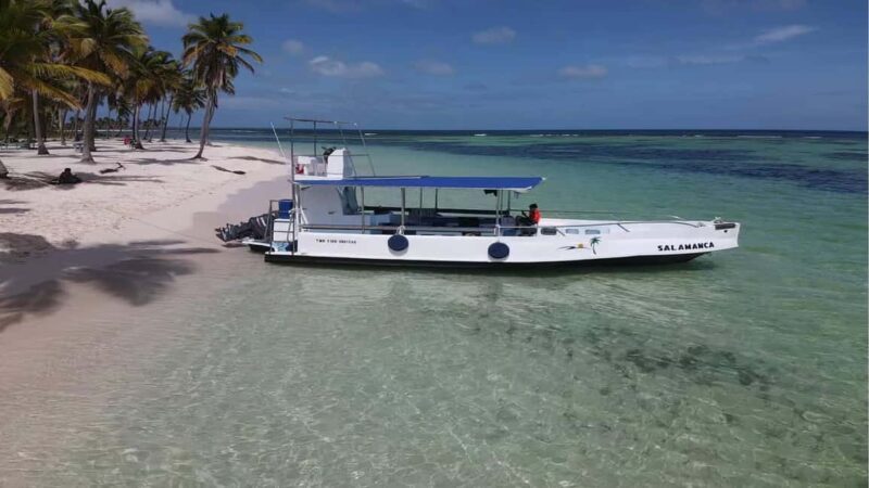 Punta Cana: Catalina Island Snorkeling Tour with Lunch - Who Will Enjoy This Tour?