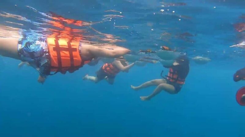 Punta Cana: Catalina Island Snorkeling Tour with Lunch - The Practical Side