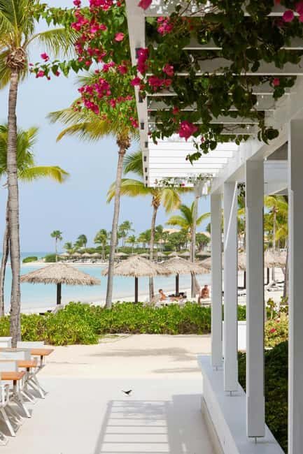 Punta Cana: Catalina Island Snorkeling Tour with Lunch - Final Thoughts: Is It Worth It?