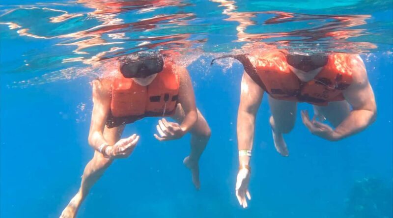 Punta Cana: Catalina Island Trip with Snorkeling - Key Points