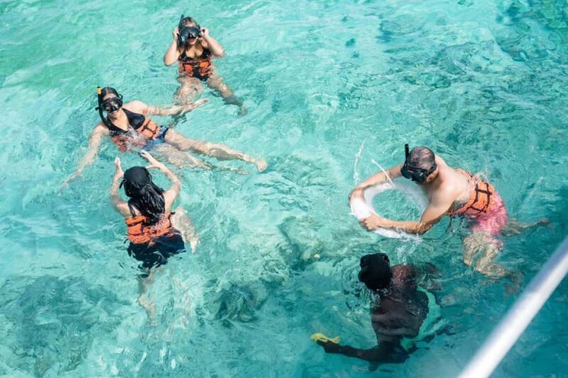 Punta Cana: Catamaran Tour with Reef Snorkeling and Open Bar - Experience Provider