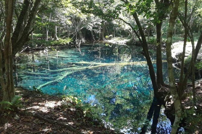 Punta Cana Cenote Hoyo Claro Hiking Tour + Juanillo Beach - Why Choose This Tour?