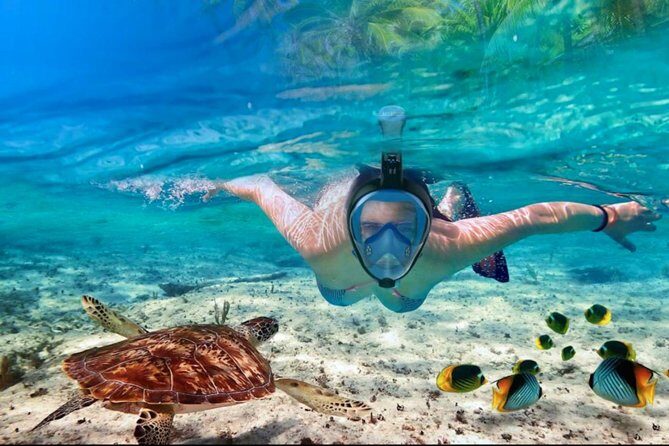 Punta Cana Combo Tour: Snorkeling, Catamaran Cruise & Parasailing - Practical Tips for Your Tour Day