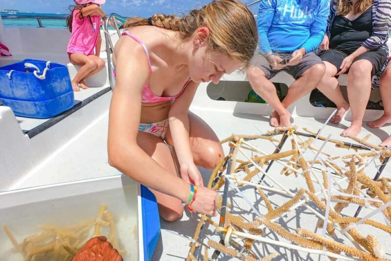 Punta Cana Coral Reef Restoration & Snorkelling Experience - An In-Depth Look at the Tour Experience