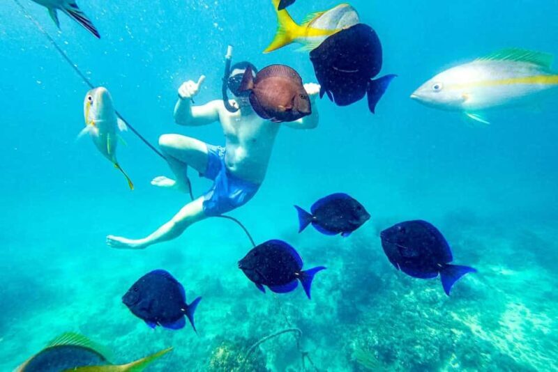 Punta Cana Coral Reef Restoration & Snorkelling Experience - FAQ
