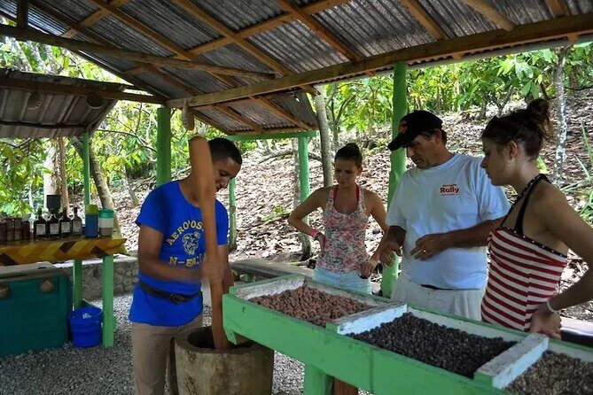 Punta Cana: Cultural half-day tours in the Dominican Republic - Key Points