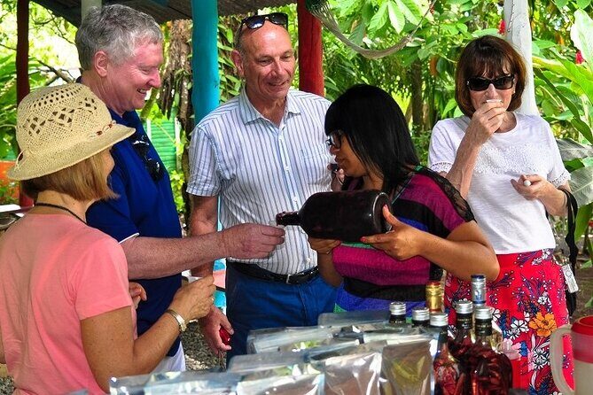 Punta Cana: Cultural half-day tours in the Dominican Republic - Who Should Consider This Tour?