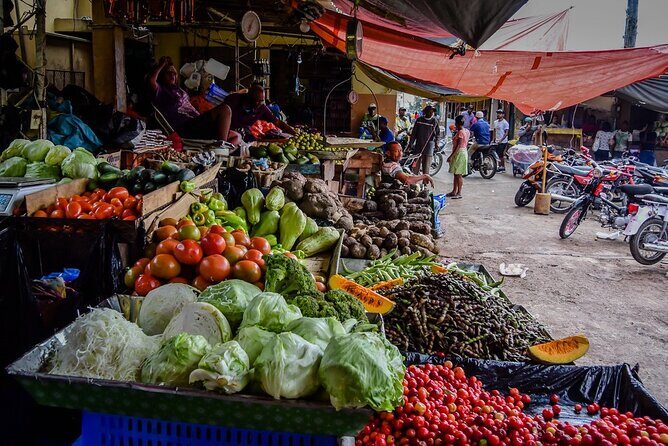 Punta Cana Cultural Private Tour to Higüey Basilica and more - A Detailed Look at the Tour Experience