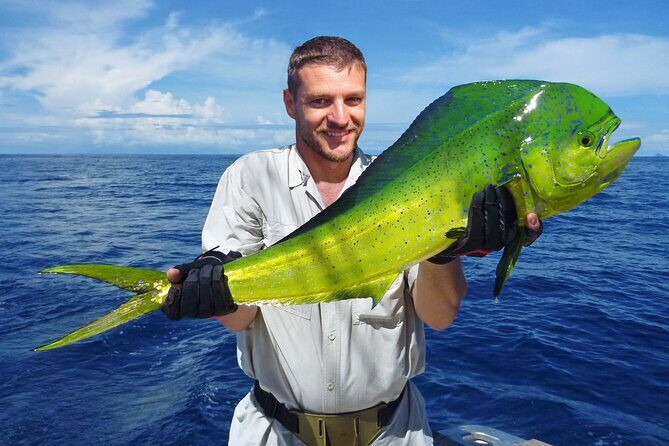 Punta Cana Deep Sea Fishing  Private 4H Charter from Cap Cana - Key Points