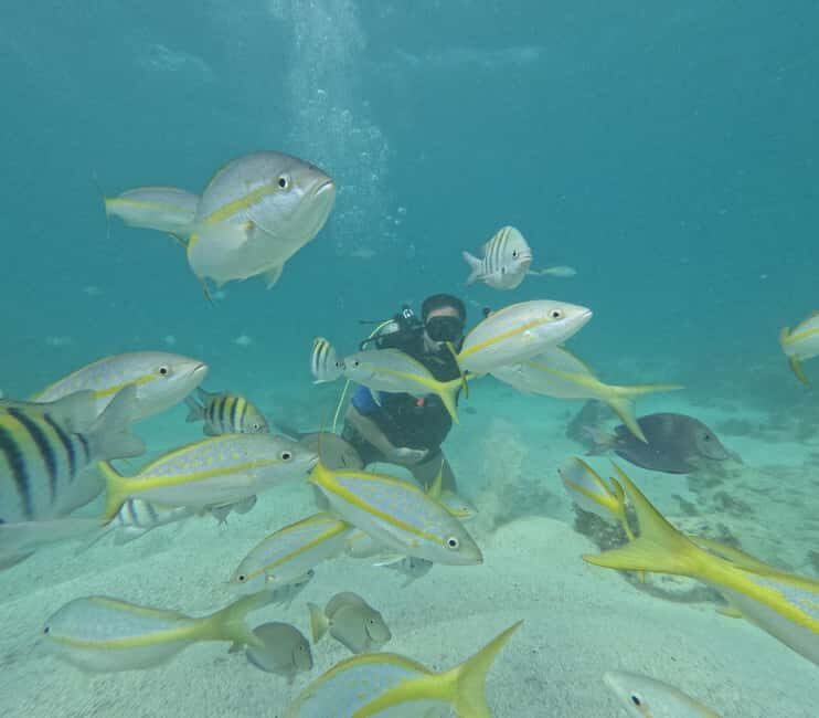 Punta Cana: Discover Scuba Diving Experience for Beginners - Key Points