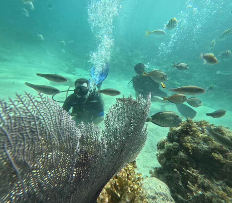Punta Cana: Discover Scuba Diving Experience for Beginners - Final Thoughts