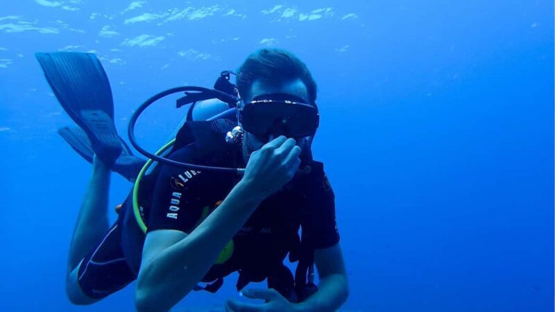 Punta Cana: Dive the Coral Paradise of Catalina Island - Key Points