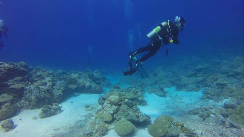 Punta Cana: Dive the Coral Paradise of Catalina Island - FAQs