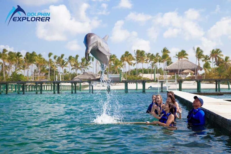 Punta Cana Dolphin Adventure: 40-Minute Interaction - In-Depth Review of the Punta Cana Dolphin Adventure