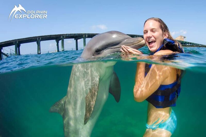 Punta Cana Dolphin Adventure: 40-Minute Interaction - The Value of This Experience