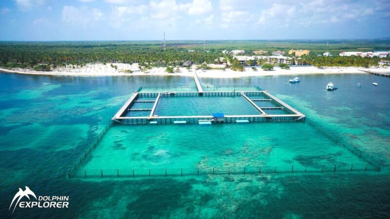 Punta Cana Dolphin Adventure: 40-Minute Interaction - Final thoughts: Who Should Book This?