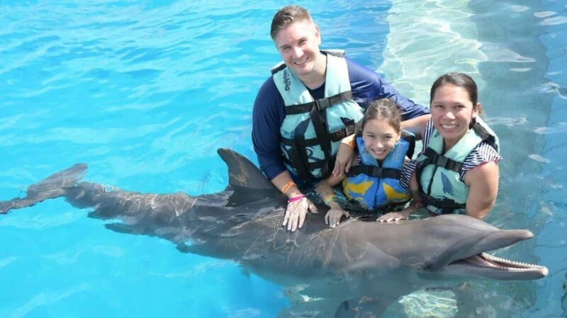 Punta Cana: Dolphin Discovery Park Tour with Hotel Transfers - The Sum Up