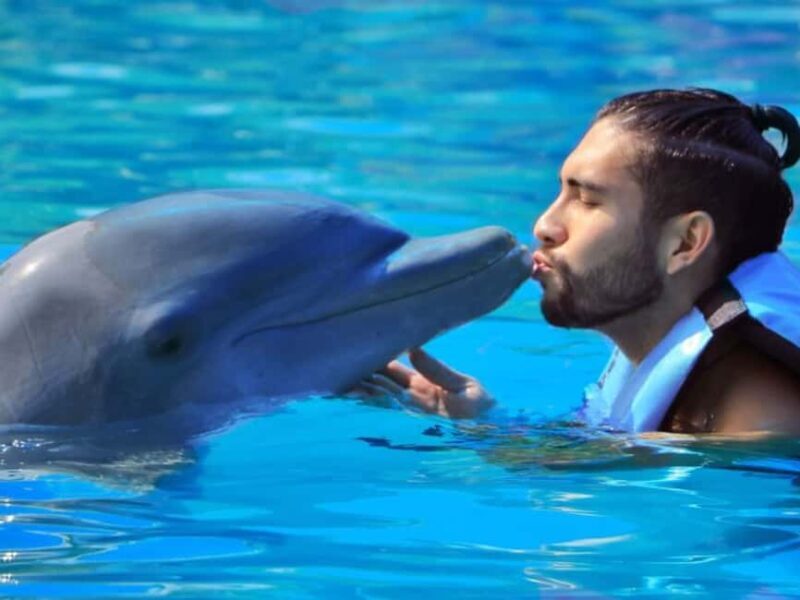 Punta Cana: Dolphin Explorer Park Entry, Swim, or Encounter - Key Points