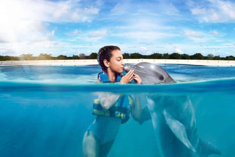Punta Cana: Dolphin Interaction Experience & Hotel Transfers - An In-Depth Look at the Tour