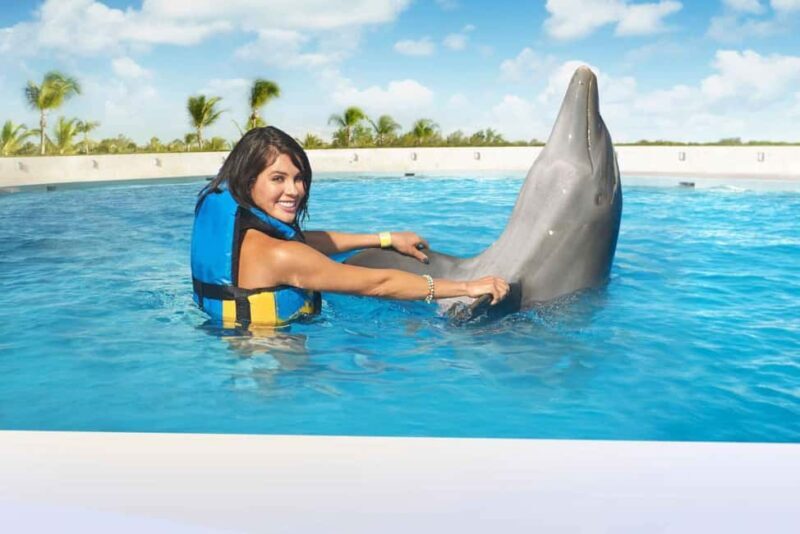 Punta Cana: Dolphin Interaction Experience & Hotel Transfers - Final Thoughts