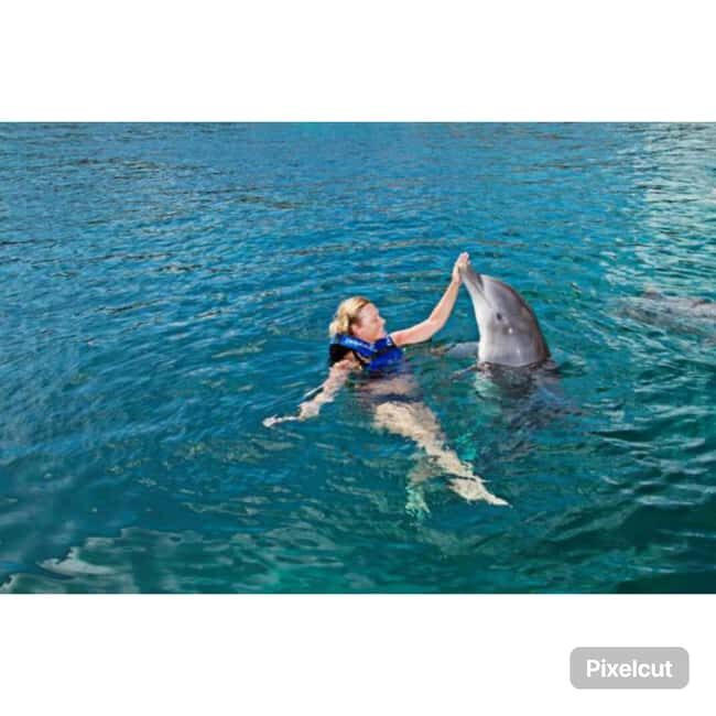 Punta Cana: Dolphin Park Entry and Swim with Dolphins - Who Will Love This Tour?