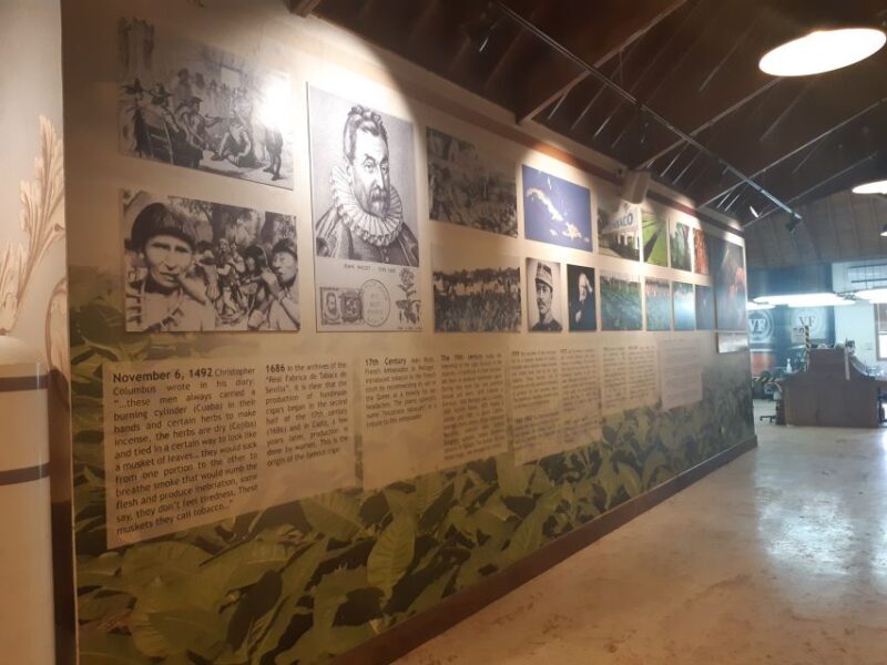 Punta Cana: Dominican Flavors Guided Day Trip - Key Points