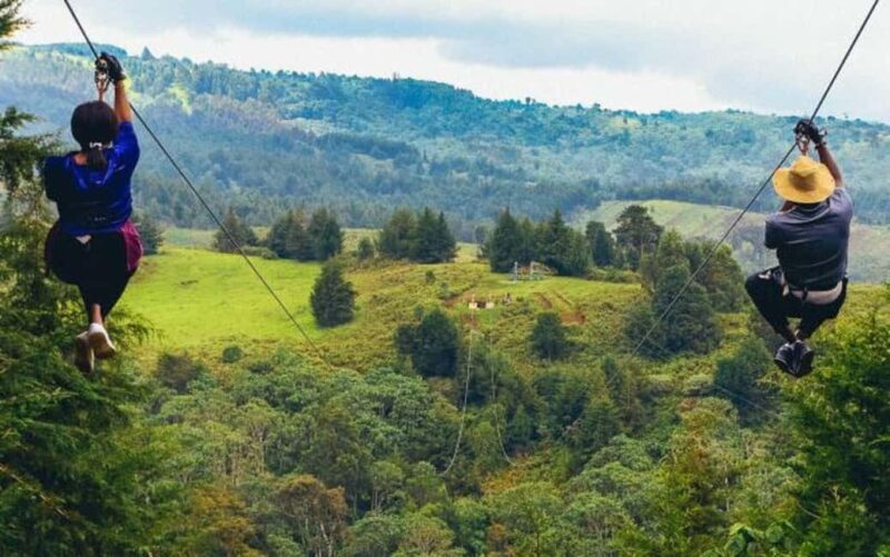 Punta Cana: Domitai Park Zipline, Buggy & Cenote Tour - An In-Depth Look at the Punta Cana: Domitai Park Tour