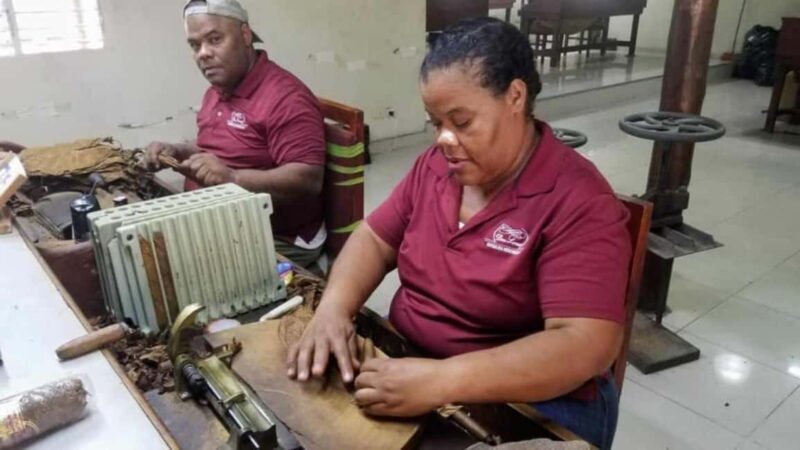 Punta Cana: Don Lucas Cigar, Chocolate, & Rum Tour - A Closer Look at the Experience