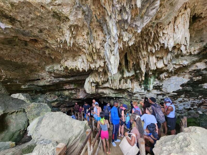 Punta Cana: Dune Buggy and River Cave Adventure - Who Will Love This Tour?