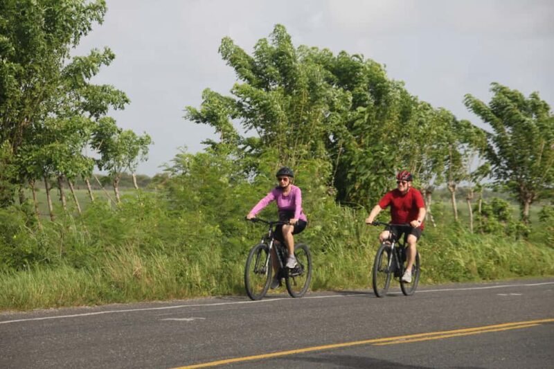 Punta Cana E-bike tour: Macao, El Salado, Ceiba, El Caño - Who Would Love This Tour?