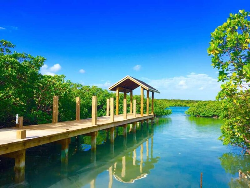 Punta Cana: Ecological Reserve 4x4 Tour with Tastings - Key Points