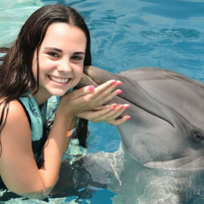 Punta Cana: Enjoy Dolphin Free Hotel Pickup - Who Is This Tour Best Suited For?