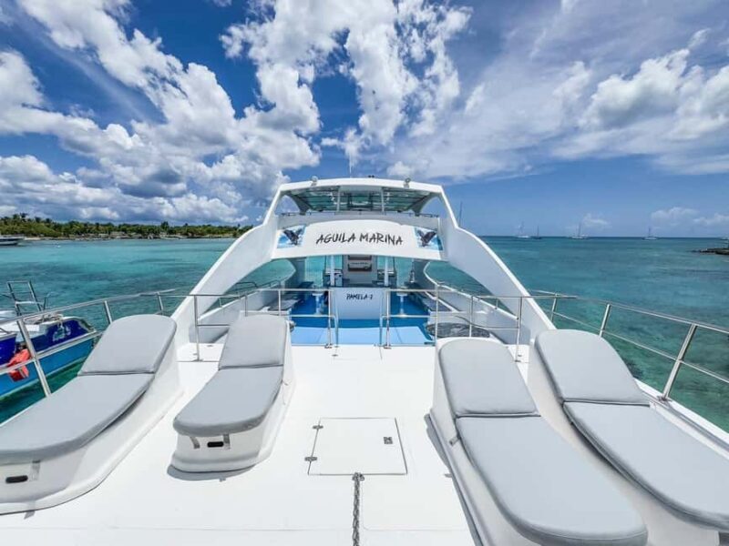 Punta Cana: Exclusive Private Catamaran Tour to Saona Island VIP Service - Starting Point and Transportation