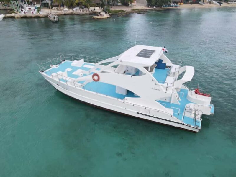 Punta Cana: Exclusive Private Catamaran Tour to Saona Island VIP Service - Who Will Love This Tour?