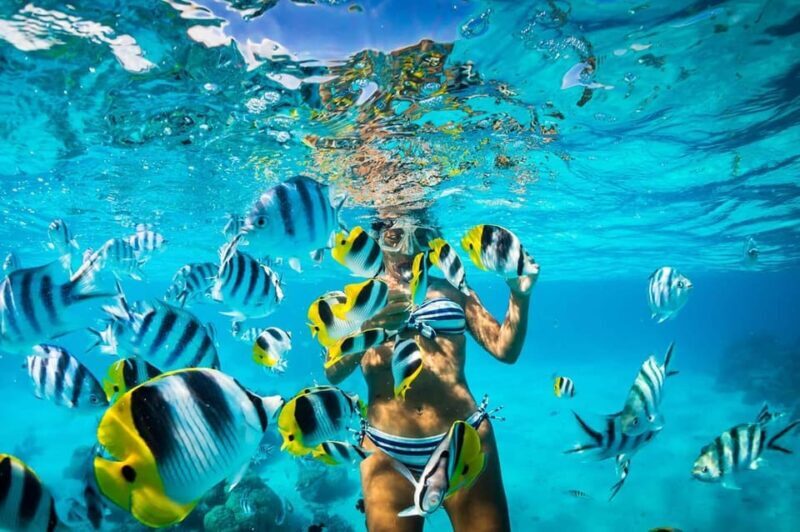 Punta Cana: Full-Day Snorkeling Tour to Catalina Island - Who Is This Tour Best For?
