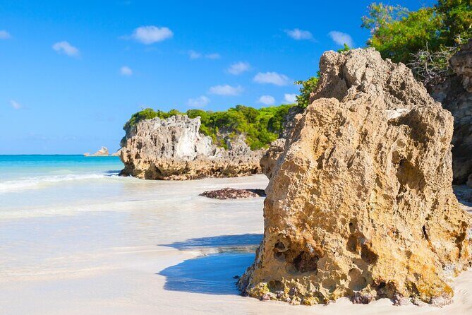 Punta Cana Guided Buggy Adventure Tour - A Detailed Look at the Punta Cana Buggy Tour