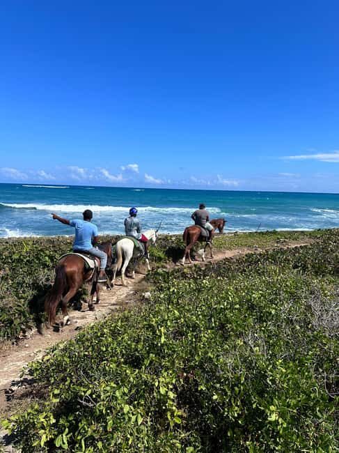 Punta Cana: Guided Horseback Tour of Beaches and Fields - Punta Cana: Guided Horseback Tour of Beaches and Fields