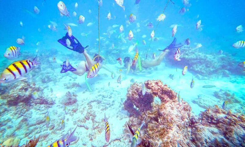 Punta Cana: Guided Power Dive Adventure - Punta Cana: Guided Power Dive Adventure