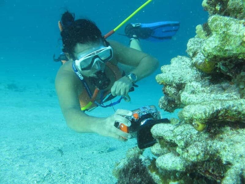 Punta Cana: Guided Power Dive Adventure - Why This Tour Offers Good Value