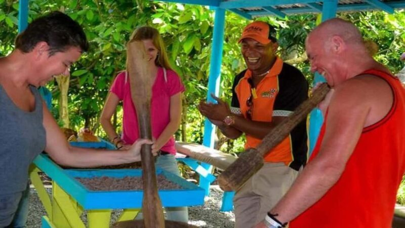 Punta Cana: Hacienda Tuko Buggy, Zipline, & Horseback Tour - Who Would Enjoy This Tour?