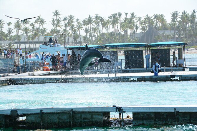 Punta Cana Hip Hop Party Boat with Snorkeling & Unlimited Drinks - Final Thoughts