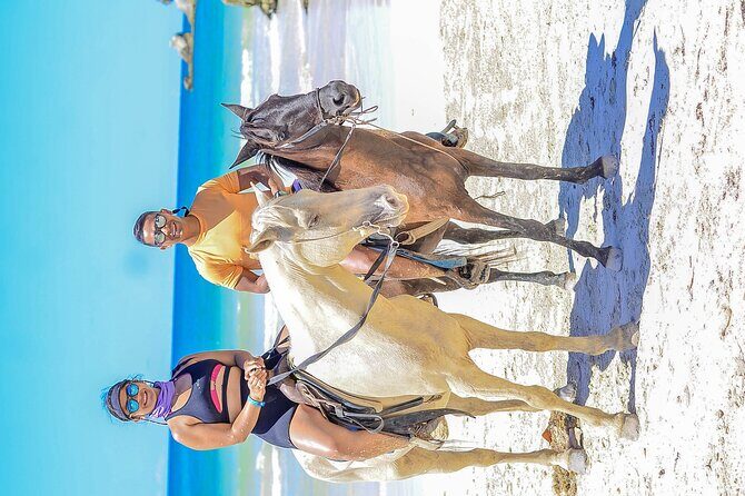 Punta Cana Horse and Buggy Adventure Tour - Final Thoughts