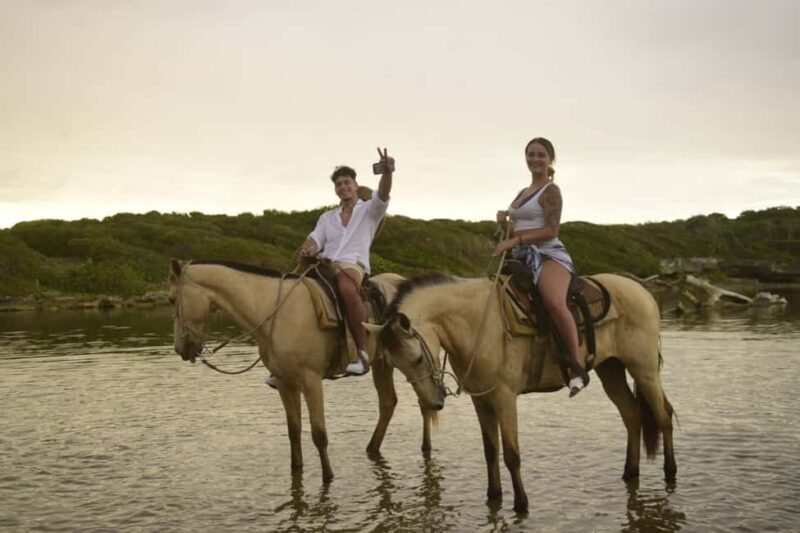 Punta Cana: Horseback Ride to Macao Beach - An In-Depth Look at the Horseback Ride to Macao Beach