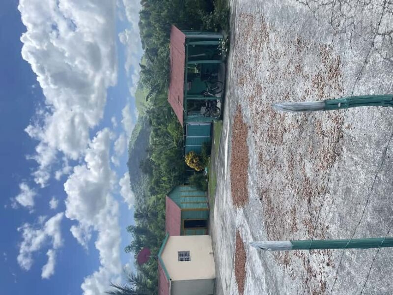 Punta Cana: Horseback Riding Adventure with Transfers - A Closer Look at the Experience