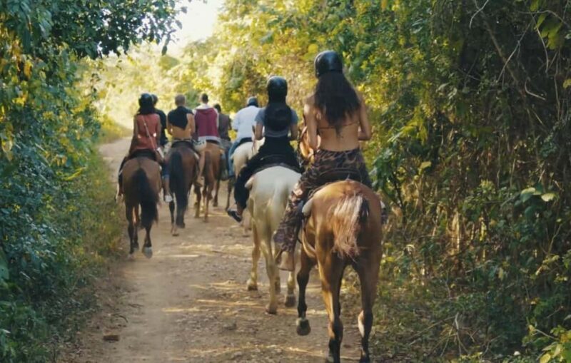 Punta Cana Horseback riding & Sunset + beach + free pick-up - The Value of This Experience