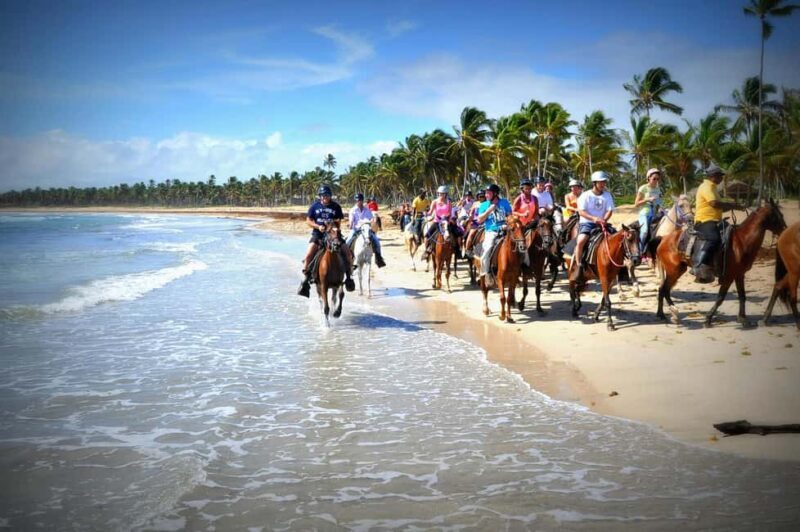 Punta Cana: Horseback Riding through Stunning Beaches - The Ride Itself: What to Expect