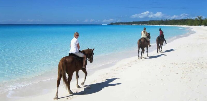 Punta Cana: Horseback Riding through Stunning Beaches - Authenticity and Value