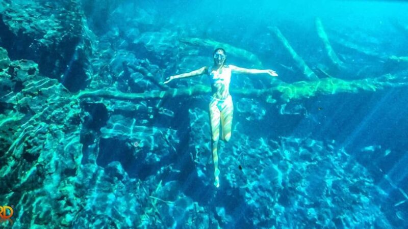 Punta Cana: Hoyo Claro Cenote and Juanillo Beach Tour - Key Points