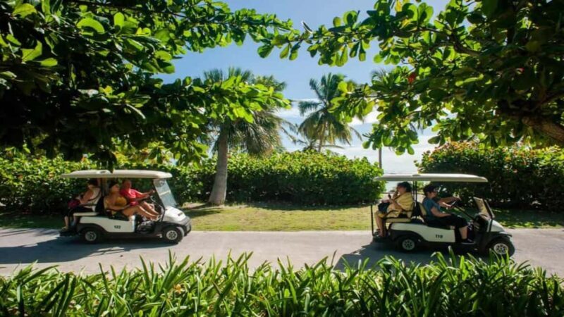 Punta Cana: Iguana Sanctuary, Sailing & BBQ Tour - Why You’ll Love This Tour