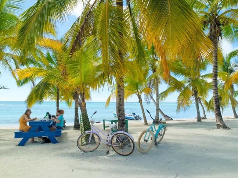 Punta Cana: Isla Saona Day Trip with Catamaran Cruise - Deep Dive: Why This Tour Works for Travelers